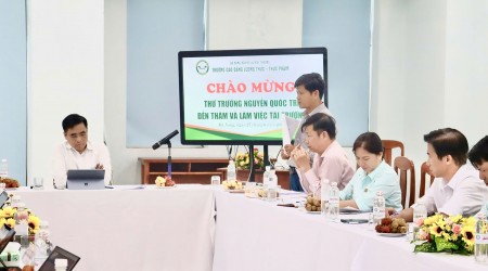 Tin tức